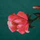 Шелк плательный (насыщенные розы) (006604)