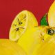 Поплин хлопковый, именной, уценка (цитрусовый сад, лимоны) (009456)