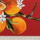 Поплин хлопковый, именной (цитрусовый сад, апельсины) (009457)