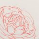 Креп-жоржет  шелковый (розы, красное перо) (009529)