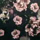 Неопрен-скуба (чайные розы в нуаре) (011050)