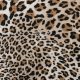 Трикотаж тонкий, вискозный (классический леопард) (011250)