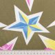 Ситец хлопковый (разноцветно-хрустальные звезды) (011293)