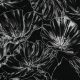 Штапель вискозный с призрачными цветами на черном (012185)