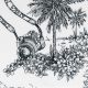 Габардин хлопковый с графическим принтом, городские джунгли (012544)
