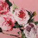 Сатин тонкий с шелком, розовые розы (012620)