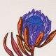 Поплин-стрейч с экзотически-яркими цветами, молочный (012667)