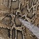 Мраморная вискоза с анималистичным принтом, коричневая кобра (012825)