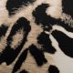 Штапель вискозный с анималистичным принтом, бежевый гепард (012839)