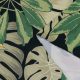 Трикотаж микрофибра с тропическими растениями на черном (012901)
