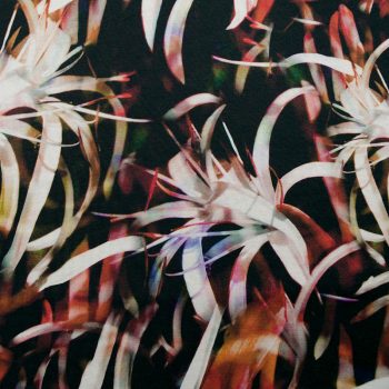 Трикотаж вискозный набивной, светящиеся лилии на черном (012905)