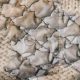 Ткань курточная стеганая с фото-принтом, цвет бежевый