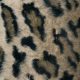 Мех искусственный, леопардовые вертикали (014189)